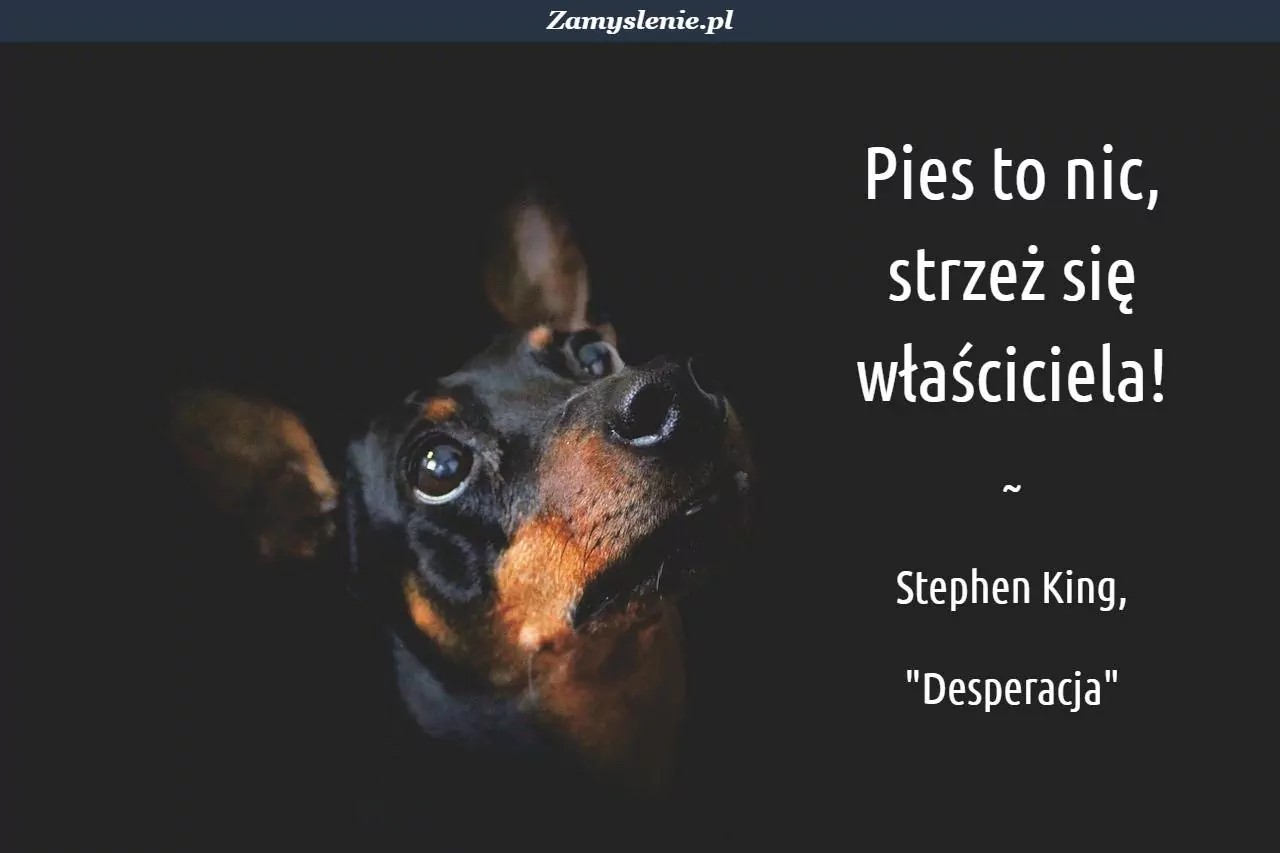 Przykładowy obrazek z cytatem - 