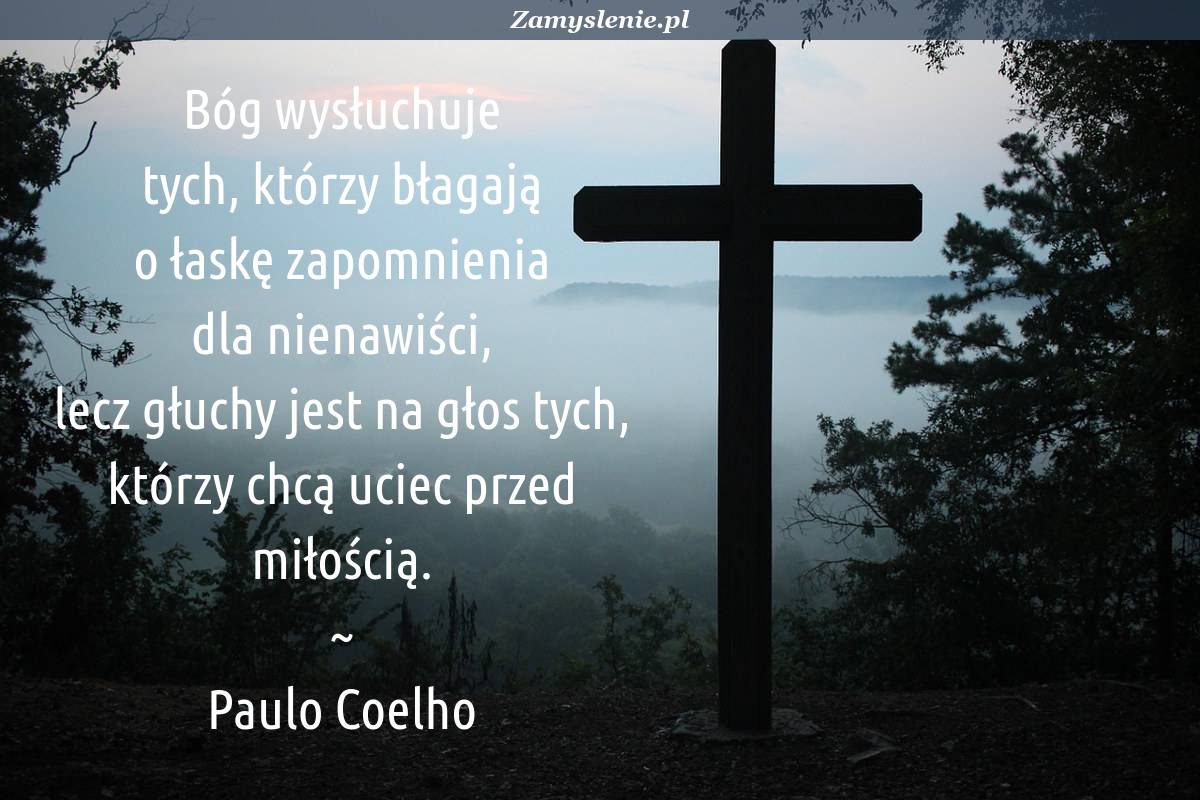 O mądre przyjaźni cytaty Najpiękniejsze cytaty