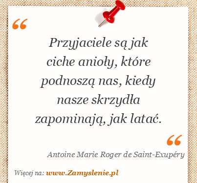 Obraz / mem do cytatu: Przyjaciele sÄ… jak ciche anioÅ‚y, ktÃ³re podnoszÄ… nas, kiedy nasze skrzydÅ‚a zapominajÄ…, jak lataÄ‡.