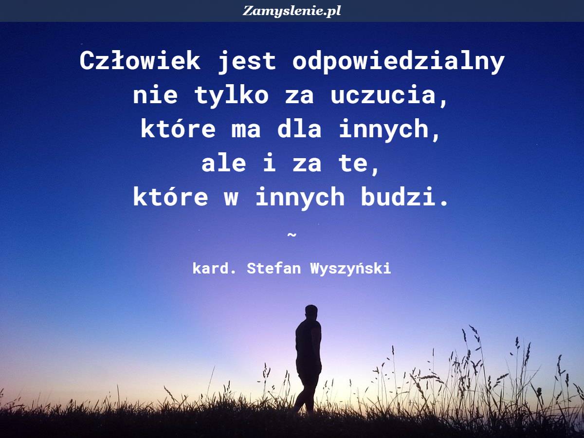 Człowiek Jest Tylko Trzciną Najwątlejszą W Przyrodzie Ale Trzciną Myślącą Cytat: Człowiek jest odpowiedzialny nie tylko za uczucia, które ma dla
