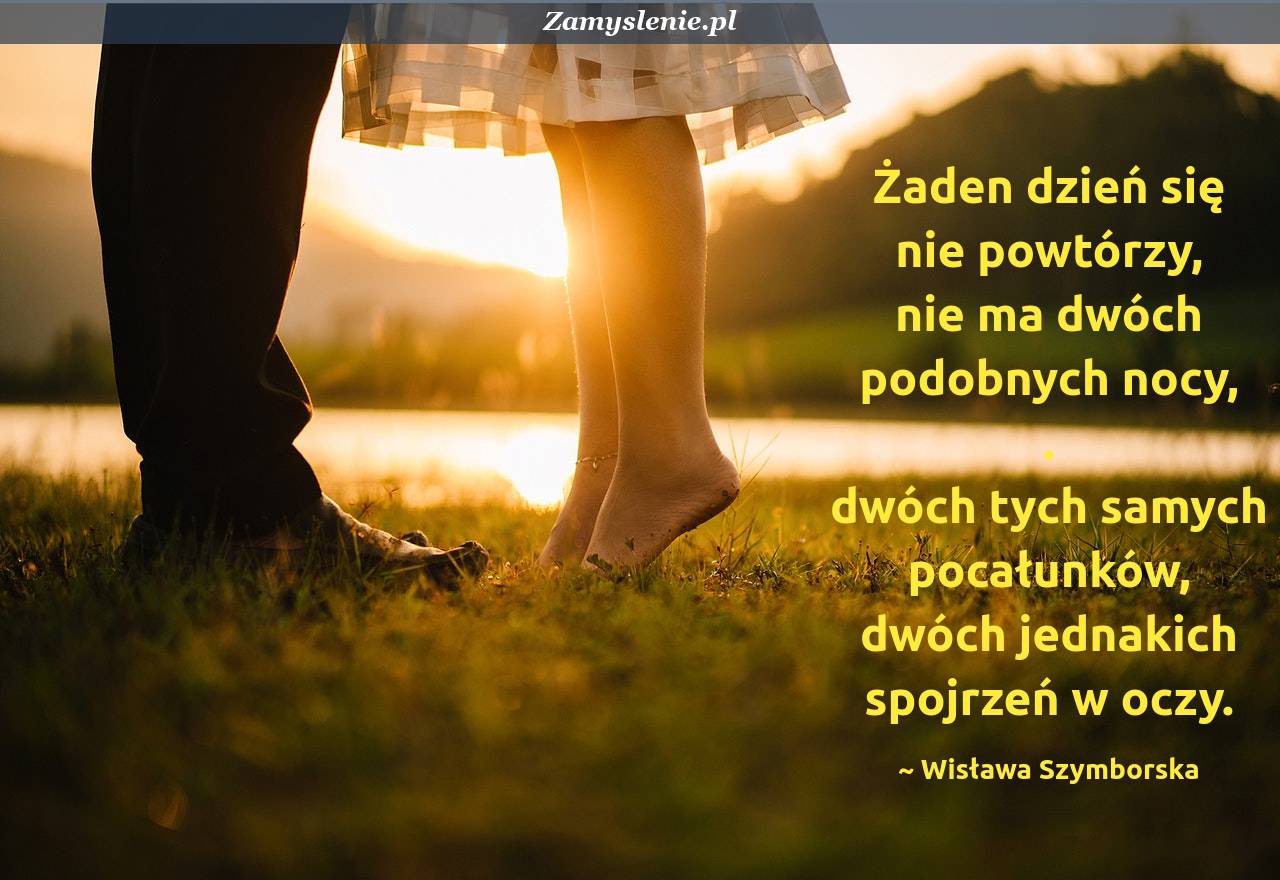 Maanam żaden Dzień Się Nie Powtórzy