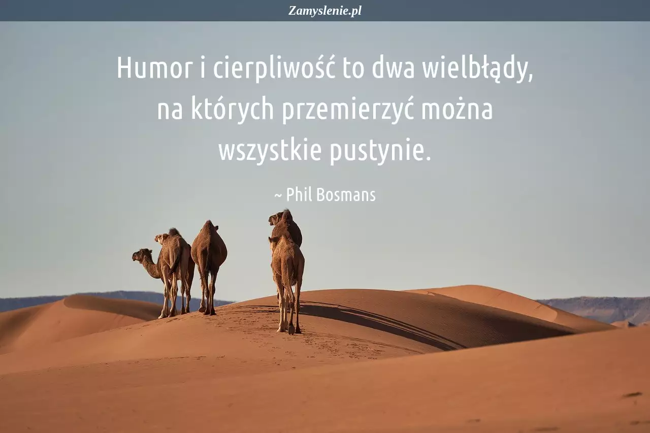 Obraz / mem do cytatu: Humor i cierpliwość to dwa wielbłądy, na których przemierzyć można wszystkie pustynie.