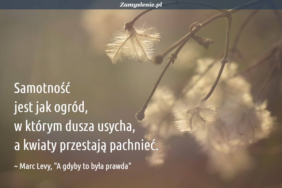 Czy Samotnosc Jest Zrzadzeniem Losu Czy Tez Swiadomym Wyborem Samotność - cytaty, aforyzmy, przysłowia - Zamyslenie.pl