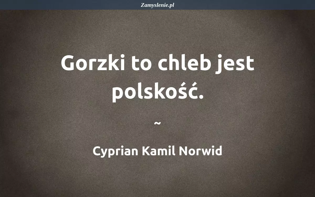 Obraz / mem do cytatu: Gorzki to chleb jest polskość.