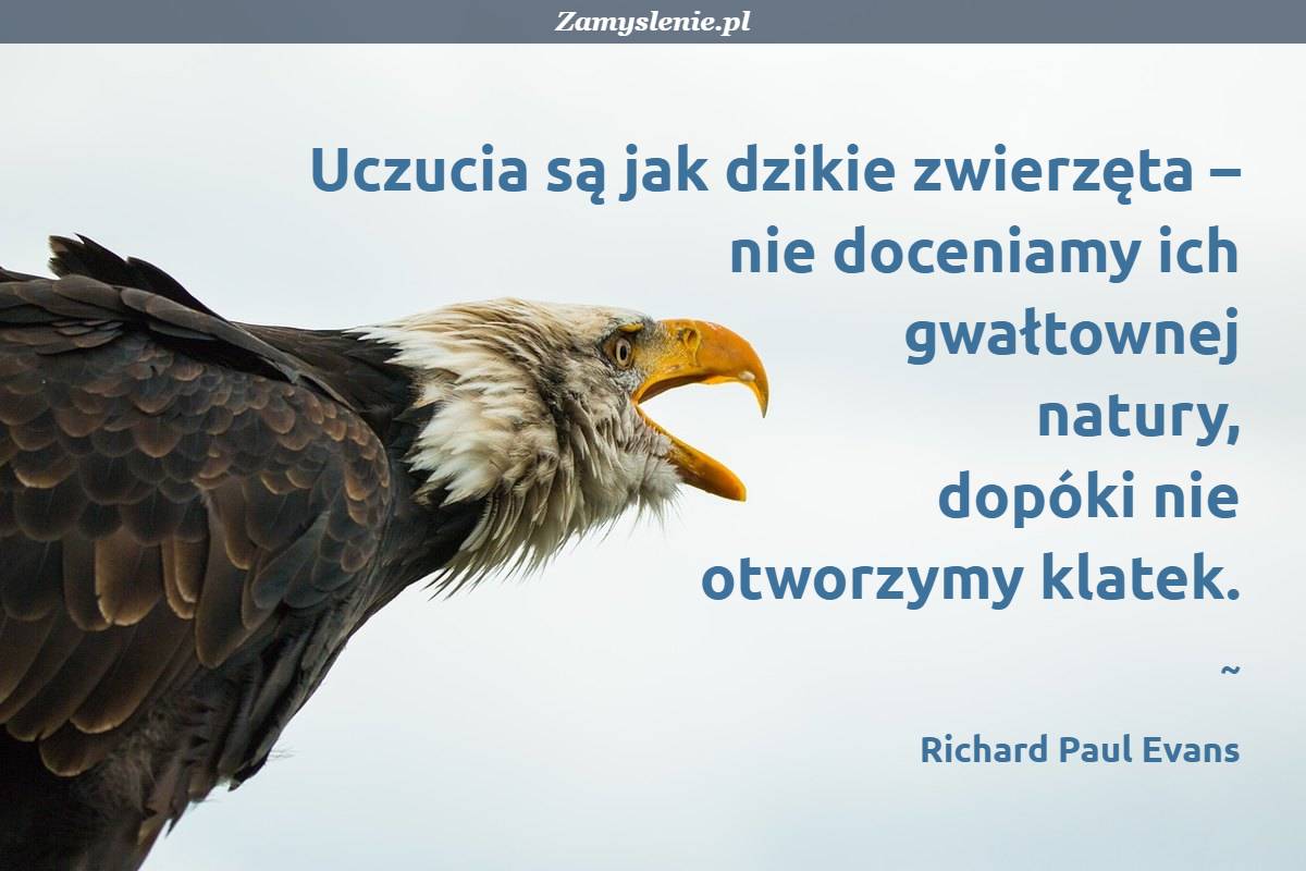 Znalezione obrazy dla zapytania obrazy mÄ…droÅ›ci narodÃ³w na wesoÅ‚o