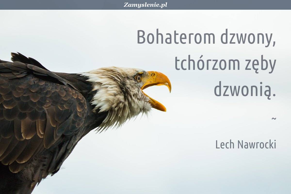 Obraz / mem do cytatu: Bohaterom dzwony, tchórzom zęby dzwonią.