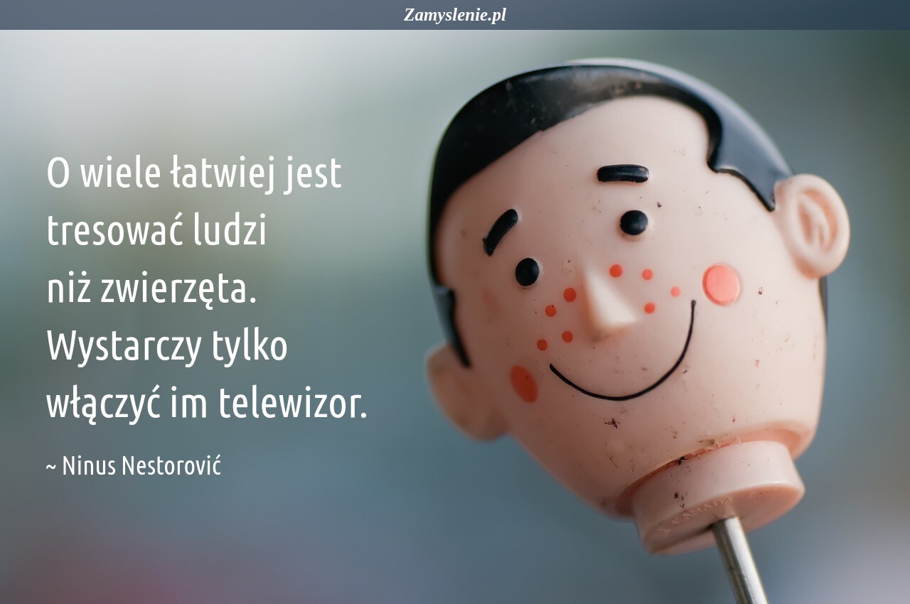 Szkola I Edukacja Cytaty Aforyzmy Przyslowia Zamyslenie Pl